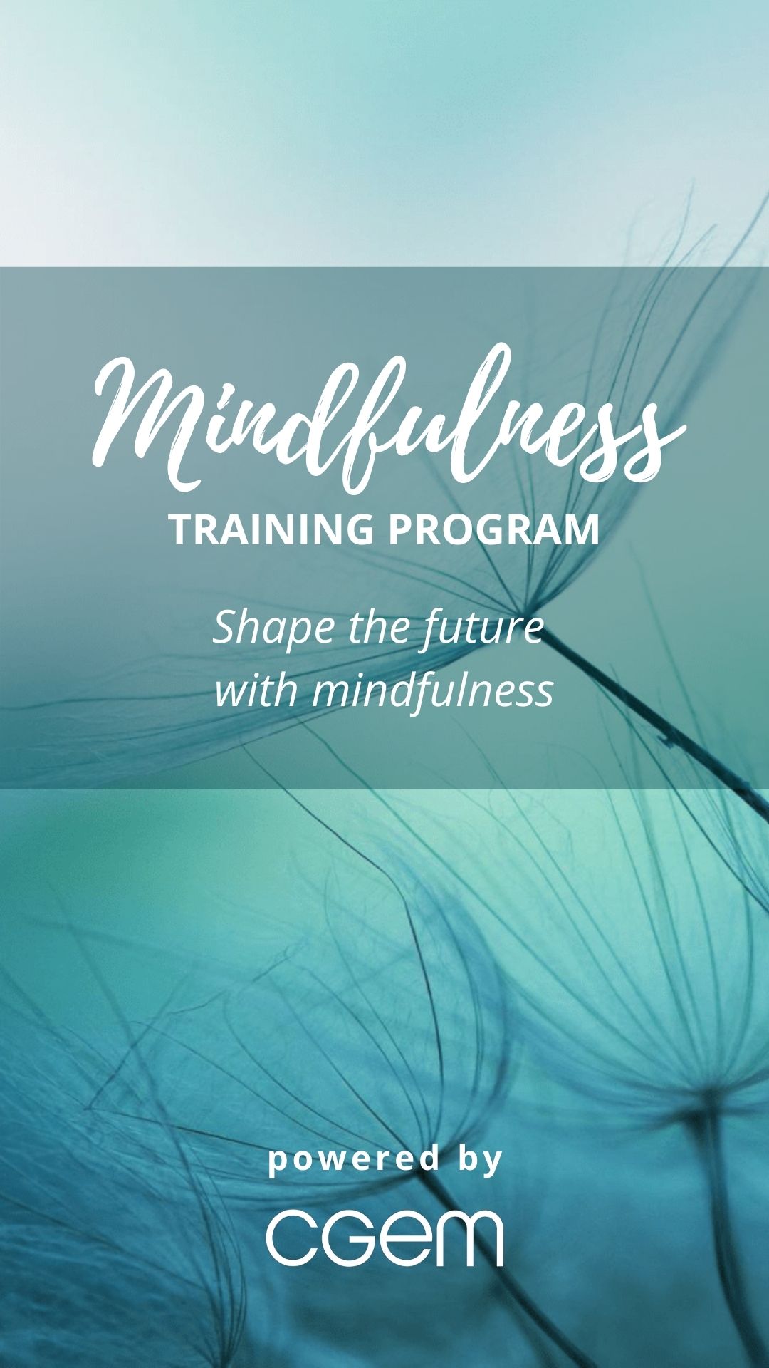 Mindfulness Training Program